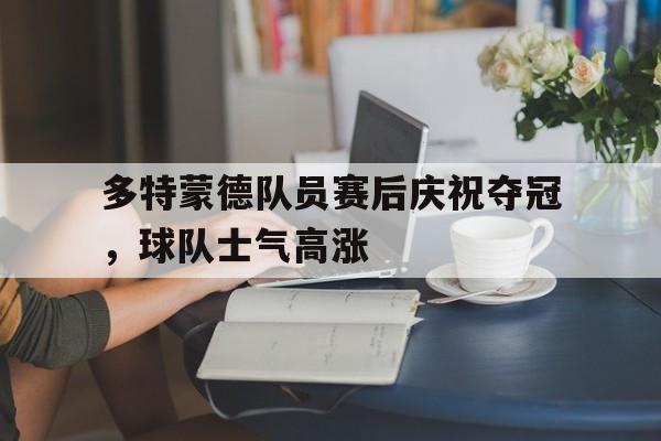 爱游戏官方-多特蒙德队员赛后庆祝夺冠，球队士气高涨