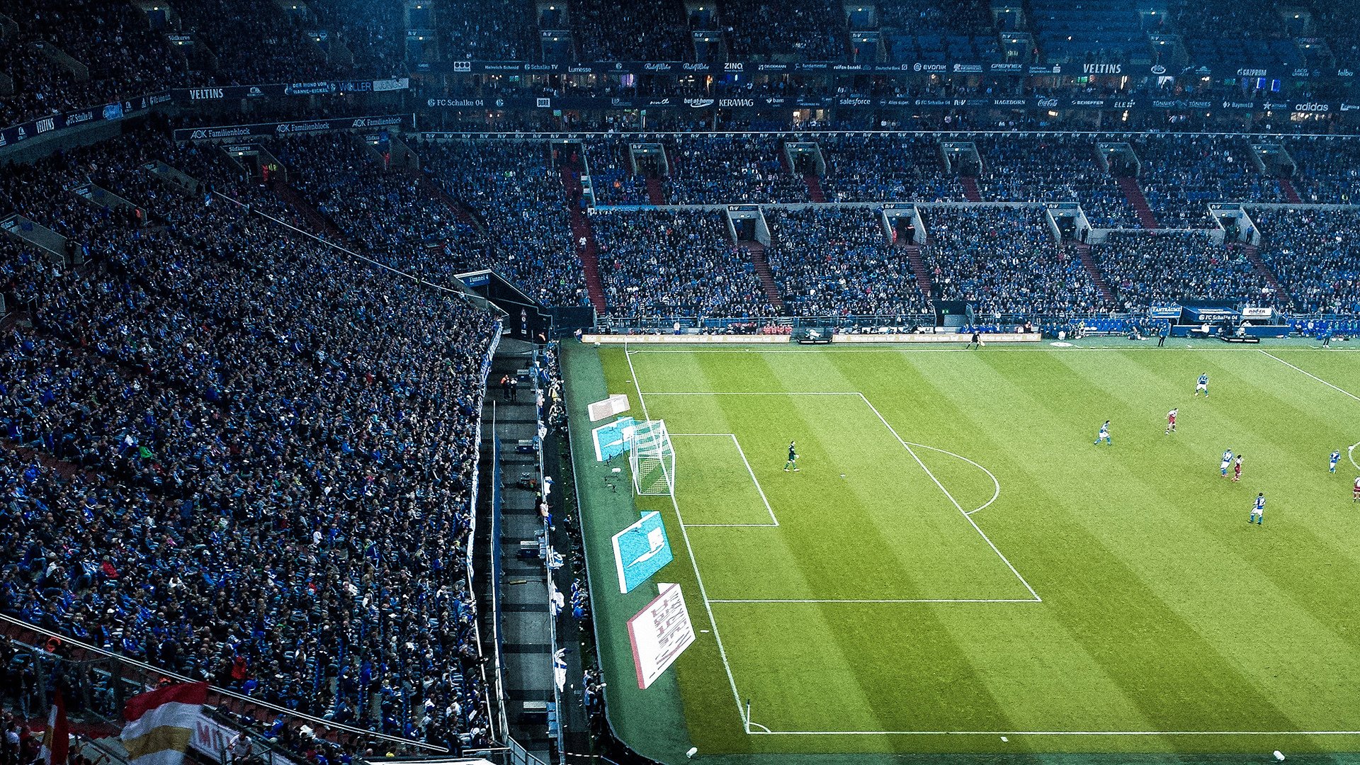 季后赛抢七焦点战，浙江队如何收割独行侠？