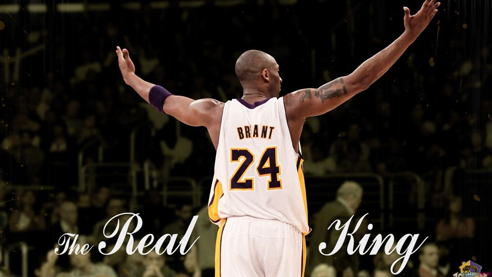 黄蜂蛰醒魔术，西亚卡姆关键蜕变，定义系列赛唯一性